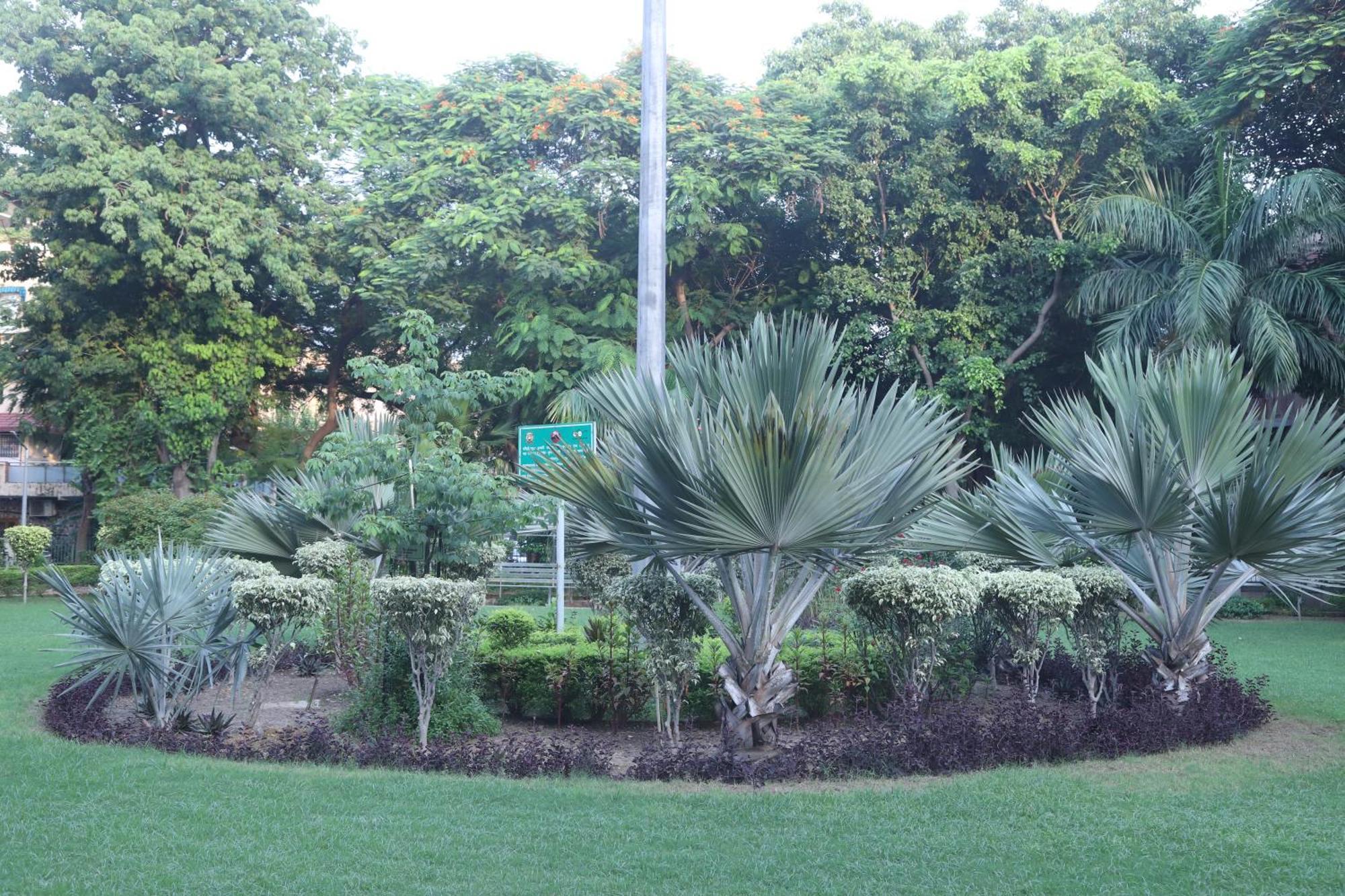 Divine India Service Apartment 3Bhk,B57 Sarita Vihar,Apollo 新德里 外观 照片