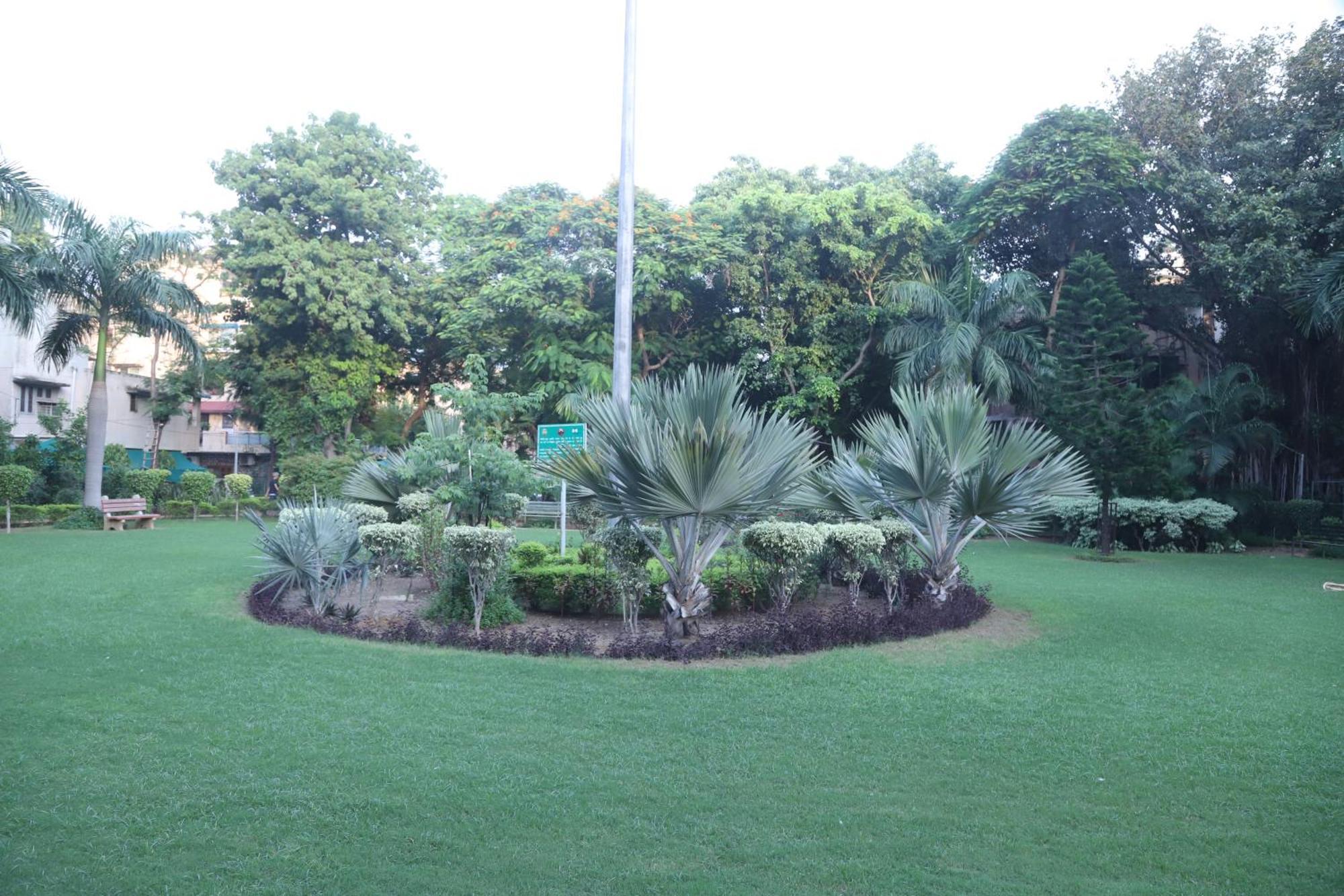 Divine India Service Apartment 3Bhk,B57 Sarita Vihar,Apollo 新德里 外观 照片